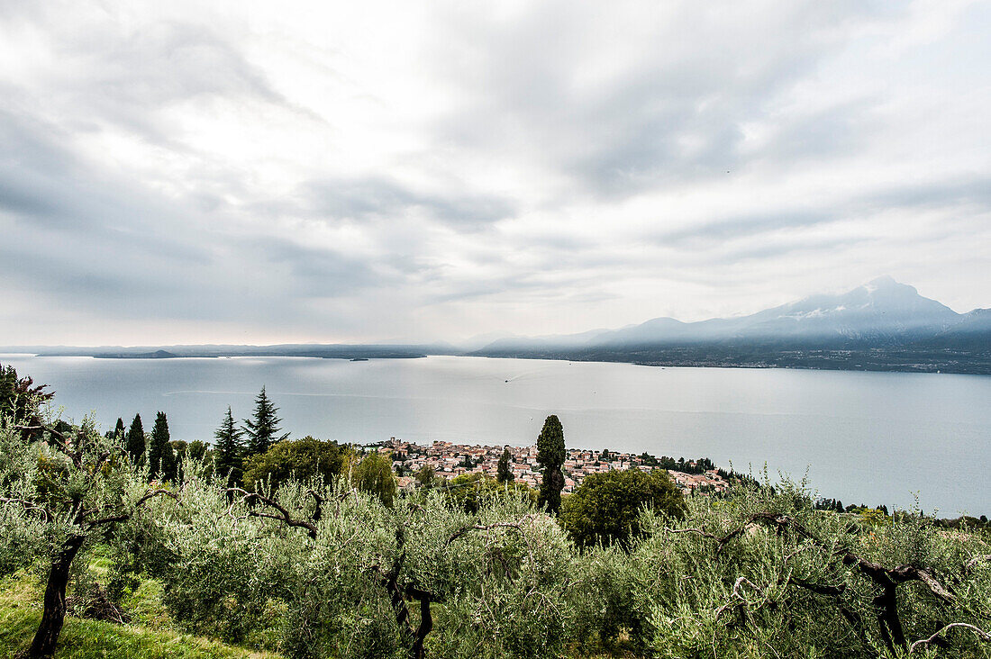 View towards Gardasee and the City of Torri del Benaco, Lago di Garda, Province of Verona, Northern Italy, Italy