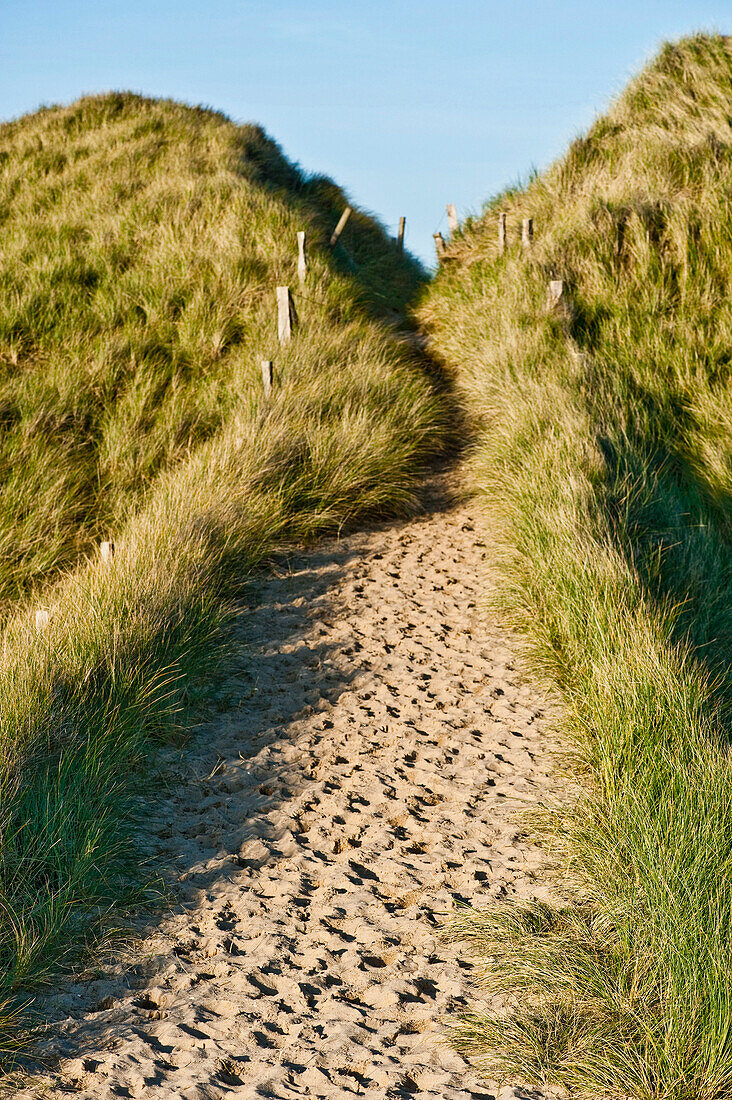 Sanddunes on the Ellenbogen peninsula, Sylt, Schleswig-Holstein, Germany