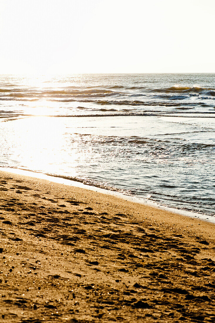 Strand am Ellenbogen auf Sylt, Schleswig-Holstein, Deutschland