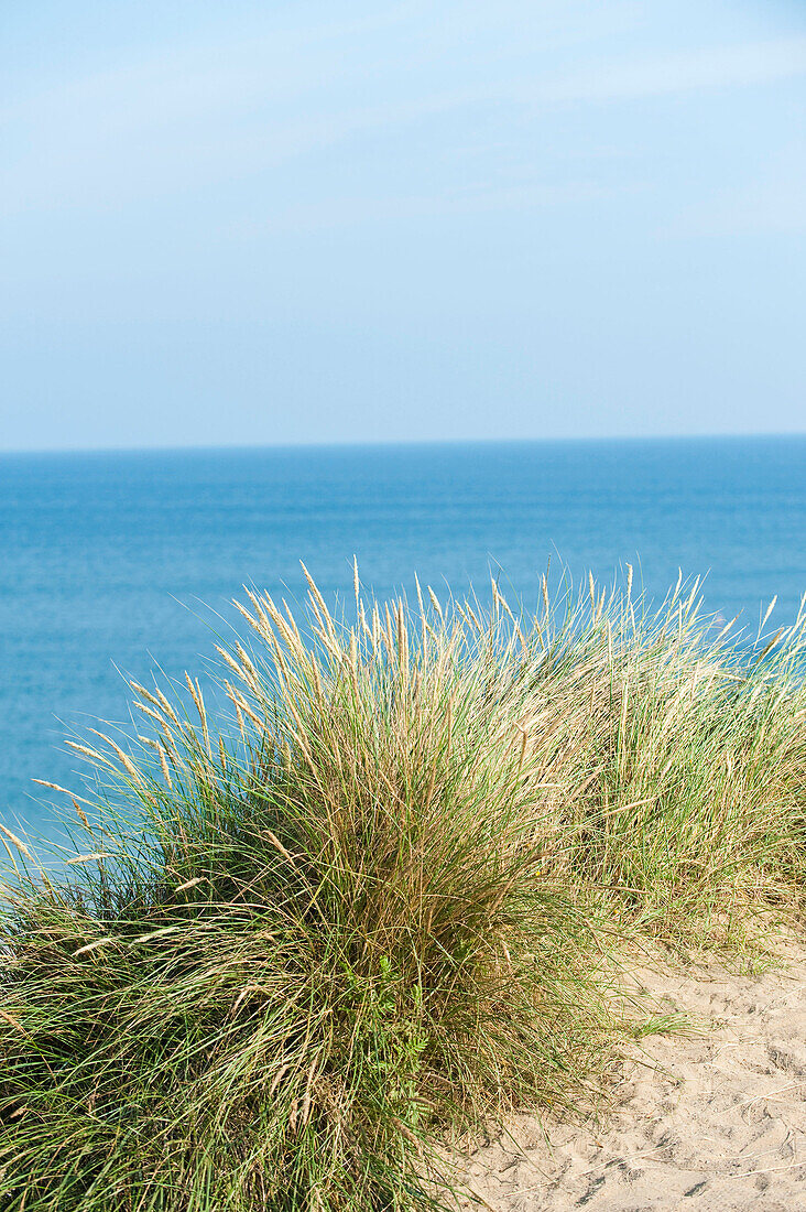 Dünenlandschaft auf Sylt, Schleswig-Holstein, Deutschland