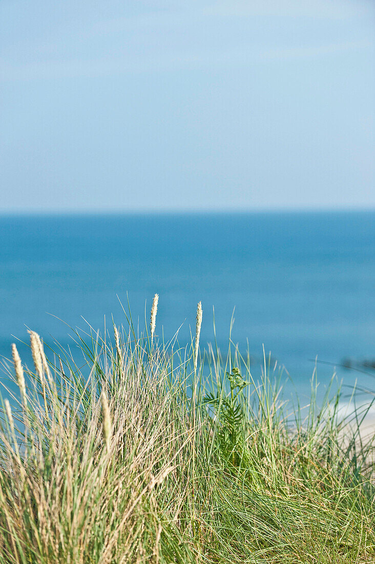 Sand dunes with dune grass, Sylt, Schleswig-Holstein, Germany