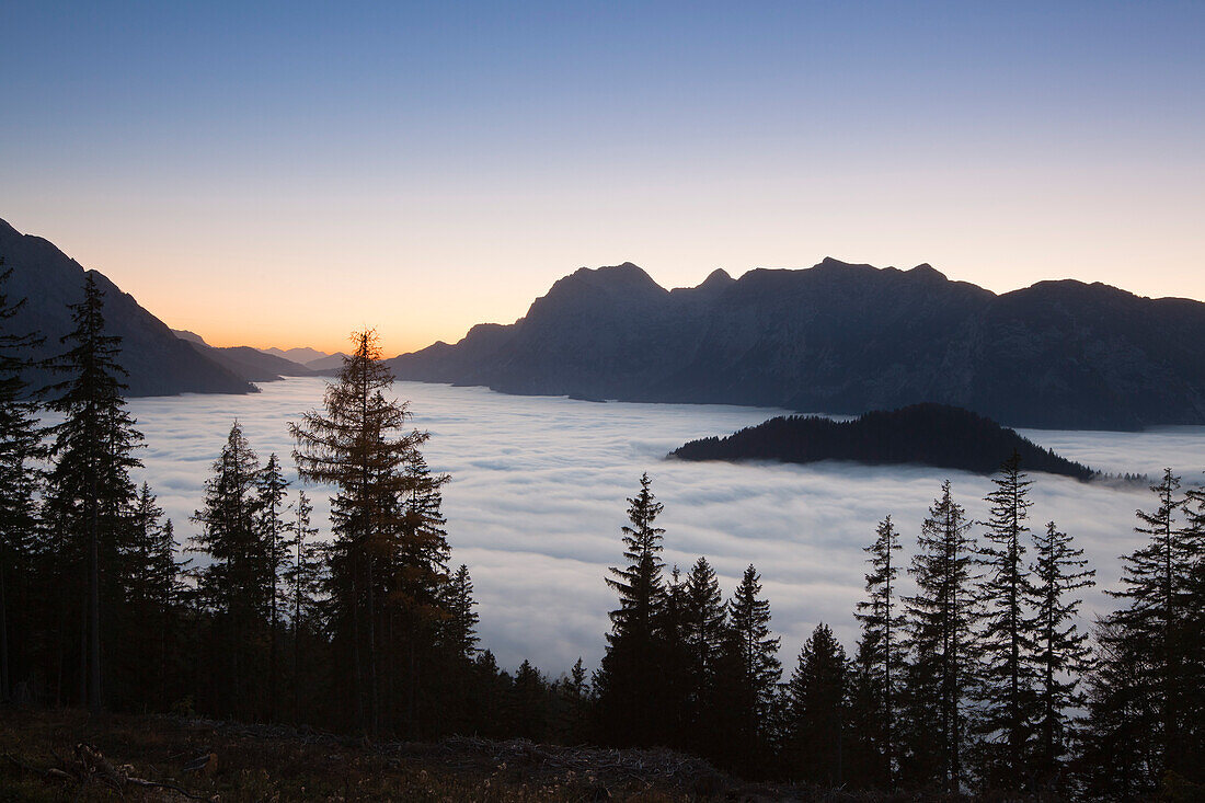 View over the fog in the valley onto Reiteralpe at dawn, Berchtesgaden region, Berchtesgaden National Park, Upper Bavaria, Germany, Europe