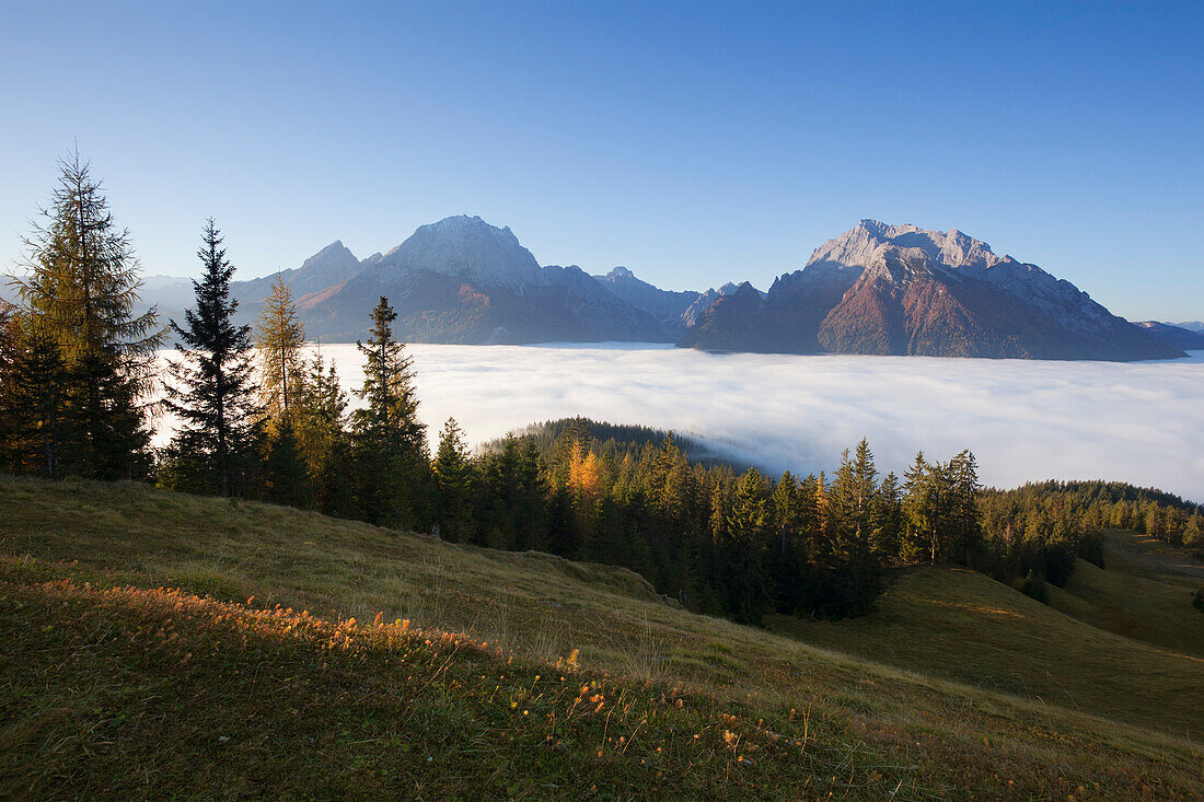 View over the fog in the valley onto Watzmann and Hochkalter, Berchtesgaden region, Berchtesgaden National Park, Upper Bavaria, Germany, Europe