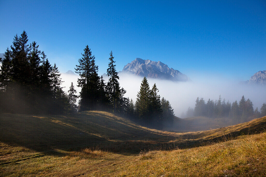 Path in the fog, view onto Hochkalter, Berchtesgaden region, Berchtesgaden National Park, Upper Bavaria, Germany, Europe