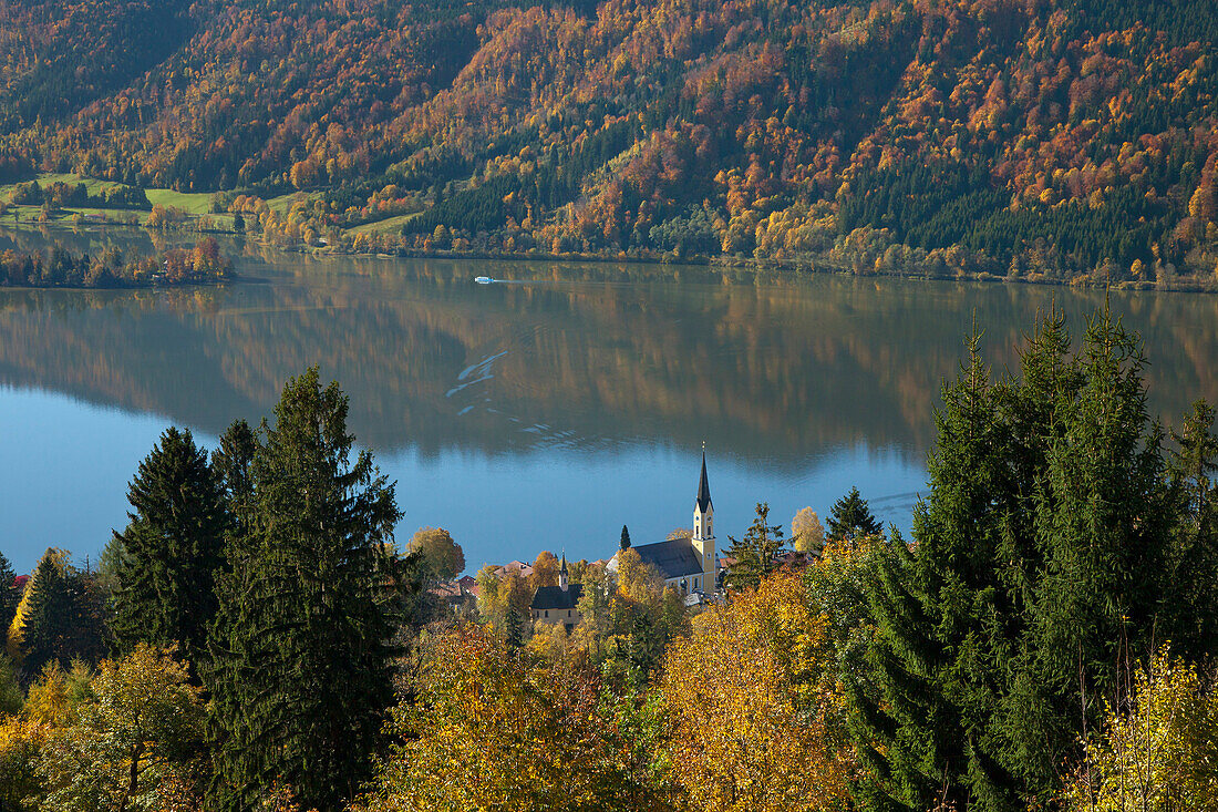Blick über herbstliche Bäume auf die Pfarrkirche am Schliersee, Oberbayern, Bayern, Deutschland, Europa