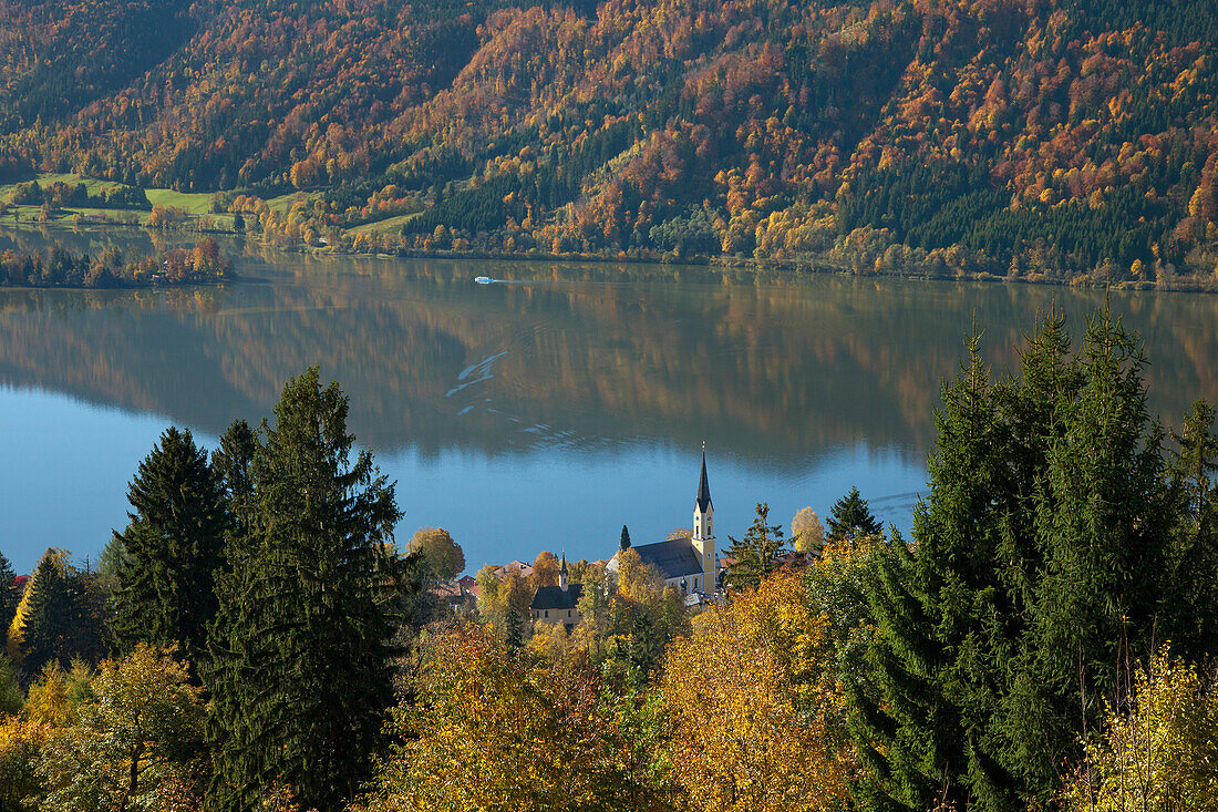 View over autumnal trees onto the church at lake Schliersee, Upper Bavaria, Germany, Europe