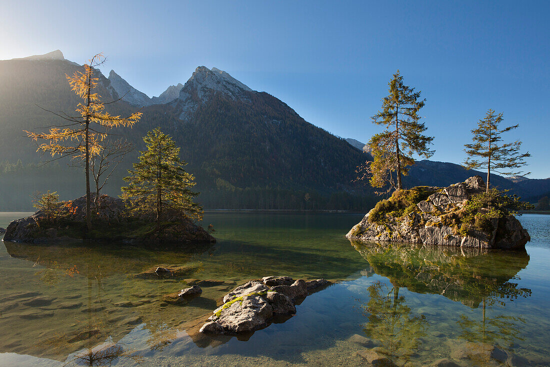 Spruces on a rock island at lake Hintersee, view of Hochkalter, Ramsau, Berchtesgaden region, Berchtesgaden National Park, Upper Bavaria, Germany, Europe