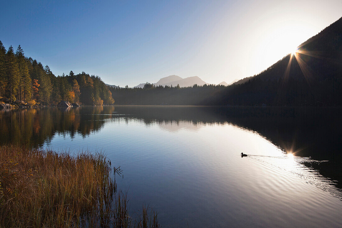 Lake Hintersee at dawn, view of Hoher Goell, Ramsau, Berchtesgaden region, Berchtesgaden National Park, Upper Bavaria, Germany, Europe