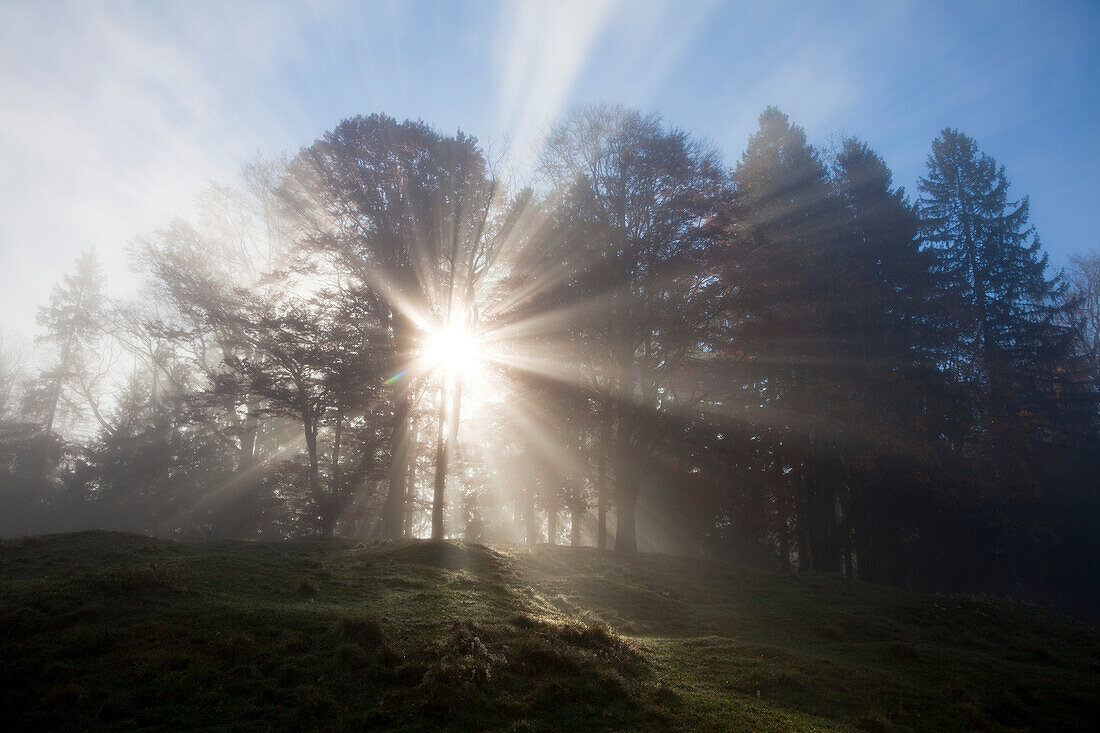 Autumnal forest, sunbeams breaking through the fog, Berchtesgaden region, Berchtesgaden National Park, Upper Bavaria, Germany, Europe