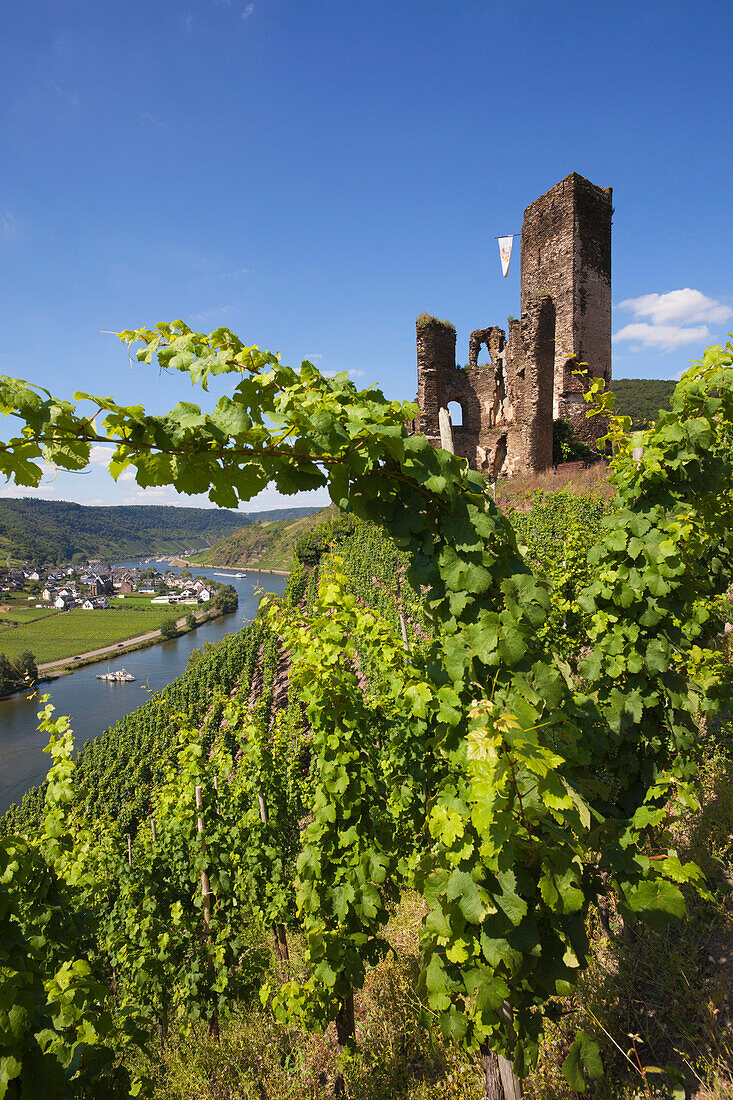 Metternich castle above Beilstein, Mosel river, Rhineland-Palatinate, Germany