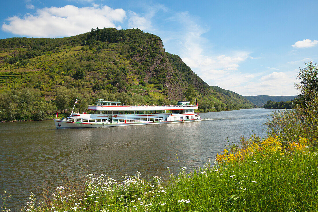 Ausflugsschiff auf der Mosel bei Cochem, Mosel, Rheinland-Pfalz, Deutschland