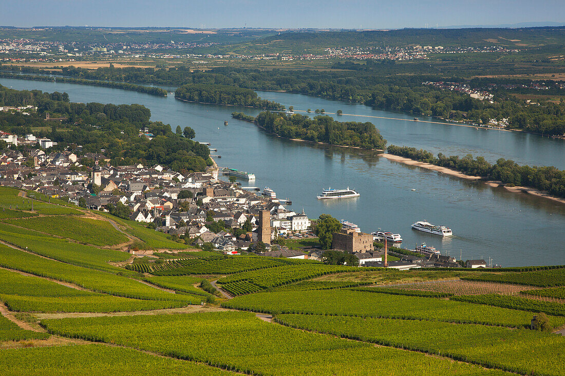 View to Ruedesheim, Rheingau, Rhine river, Hesse, Germany