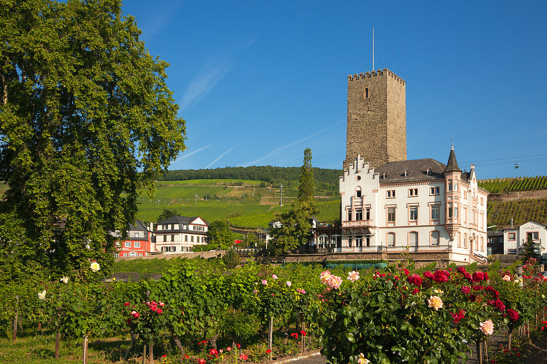 Boosenburg, UNESCO Weltkulturerbe, Rüdesheim, Rhein, Rheingau, Hessen, Deutschland