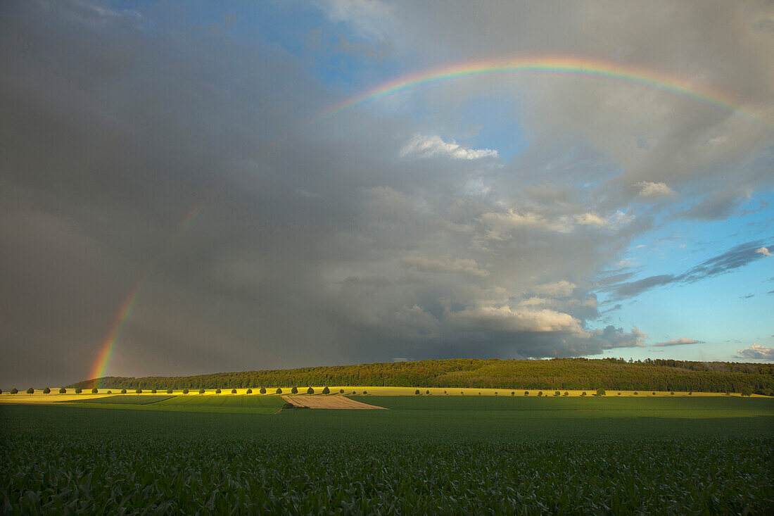 Regenbogen vor dunklen Gewitterwolken, Solling, Niedersachsen, Deutschland