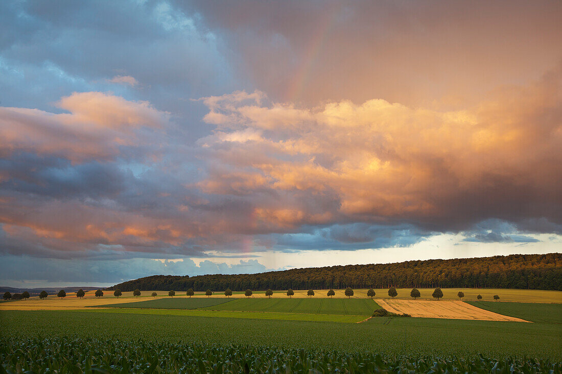 Gewitterwolken am Abend, Solling, Niedersachsen, Deutschland