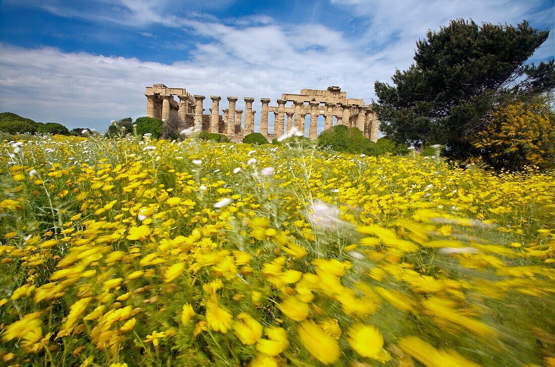 Ruins of Greek temple from seventh century BC  Province of Trapani, Selinunte, Sicily, Italy.