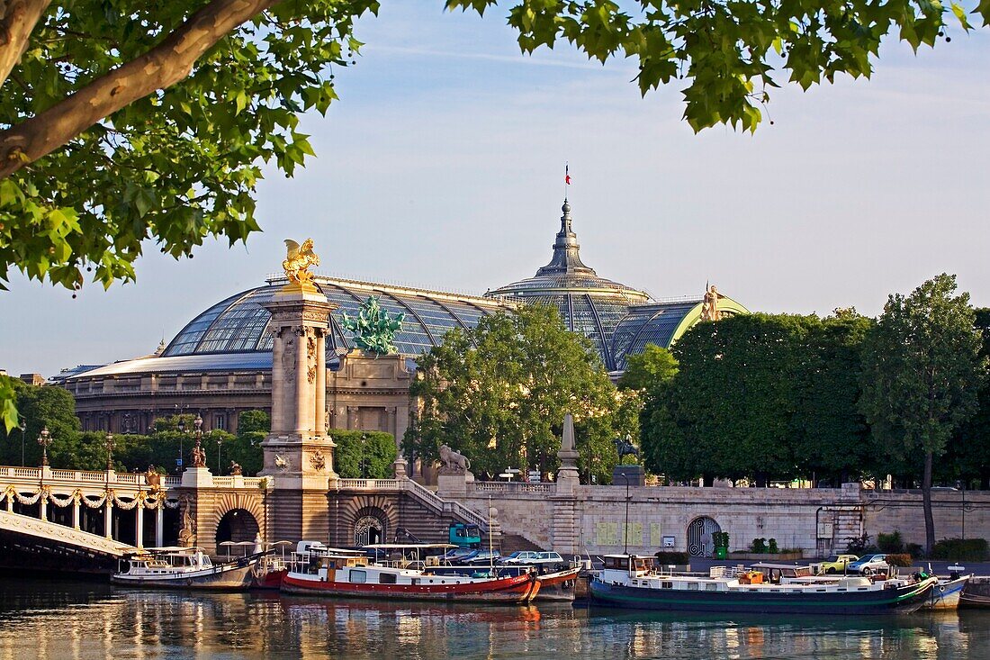 Alexander bridge, Pont Alexandre, Belle Epoque, Grand Palais  Paris  France.