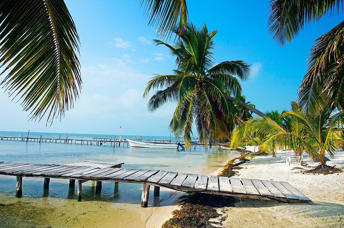 Beach  Caye Caulker  Belize.