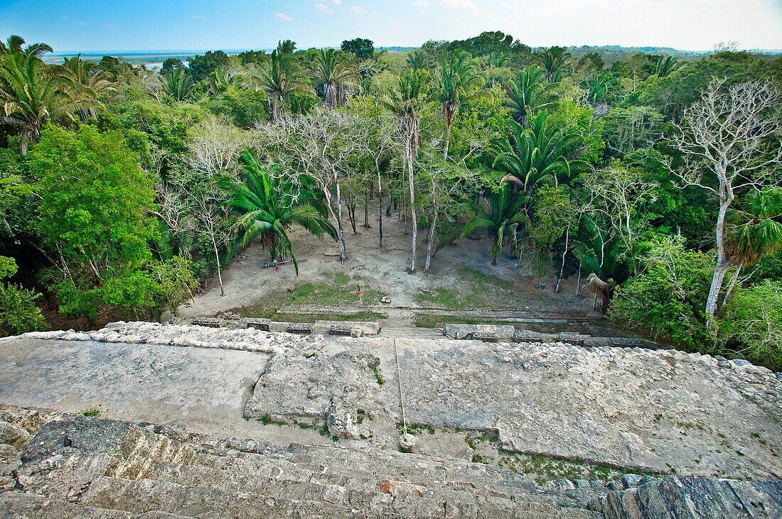 View from the top of structure N10-43, also known as El Castillo Maya temple ruins at Lamanai 300BC, 1500AD Lamanai Belize