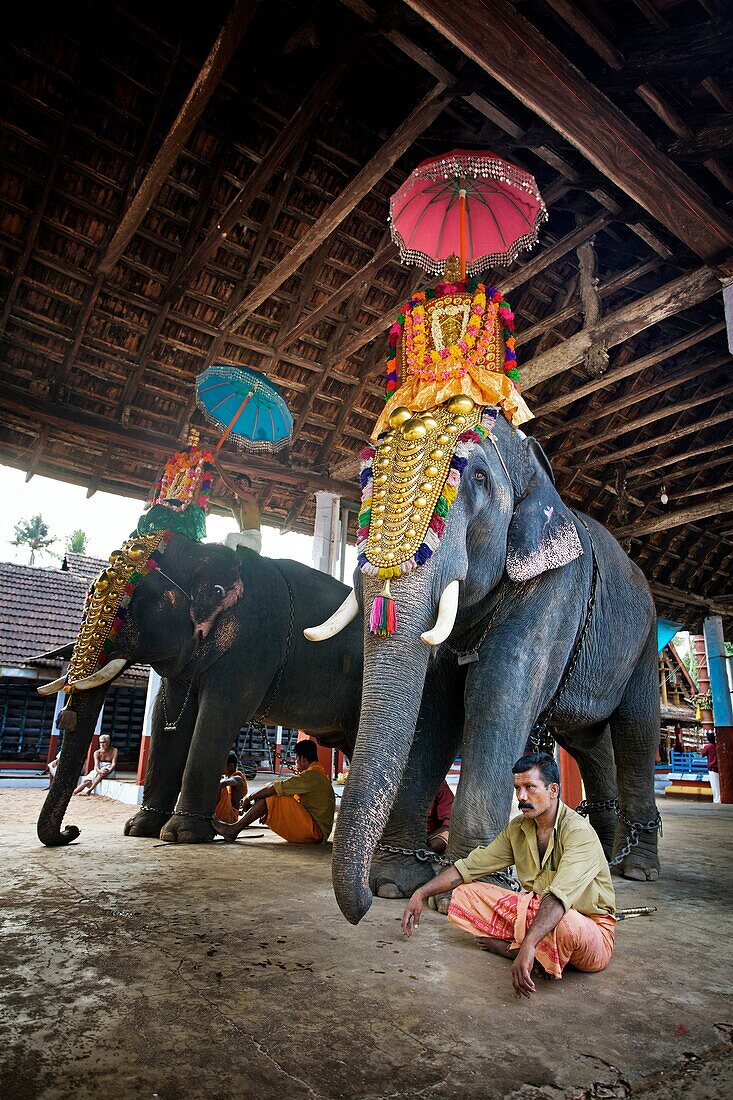 Festival near Alleppey, Kerala, India.