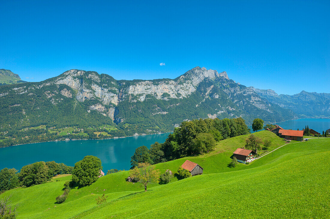 Blick auf den Walensee mit Churfirsten, St. Gallen, Schweiz, Europa