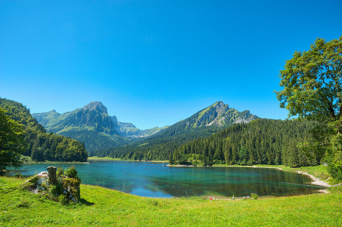 Lake Obersee with Brunnelistock mountain, Glarner Alps, Glarus, Switzerland, Europe