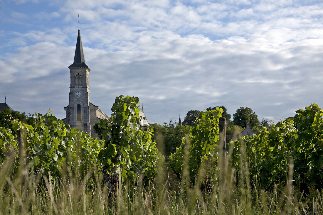 Church And Vineyards In Aloxe-Corton, The Great Burgundy Wine Road, Cote D’Or (21), France