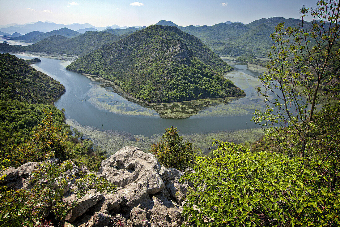 Marshland In The Bend Of A Stream, Landscape Around Lake Skadar (Skadarsko Jezero), Region Of Zabljak Crnojevica, Montenegro, Europe