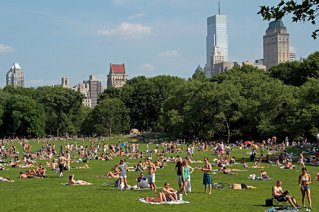 The Lawns Of Central Park, Vast Park Situated In Manhattan, New York City, New York State, United States