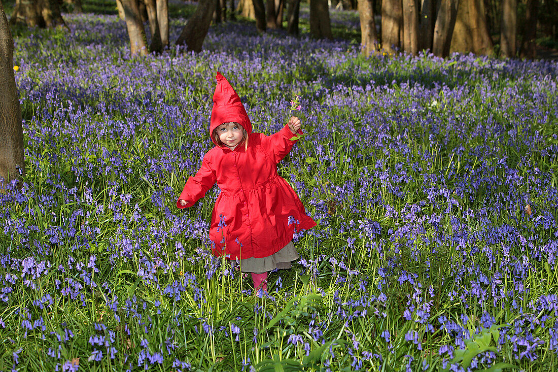 Young Girl Dressed As Little Red Riding Hood Walking In The Woods, France