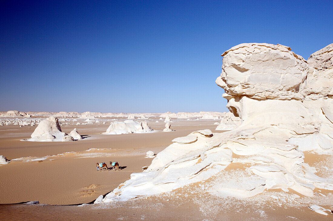 Egypt, View of the White desert from the El Masarah plate