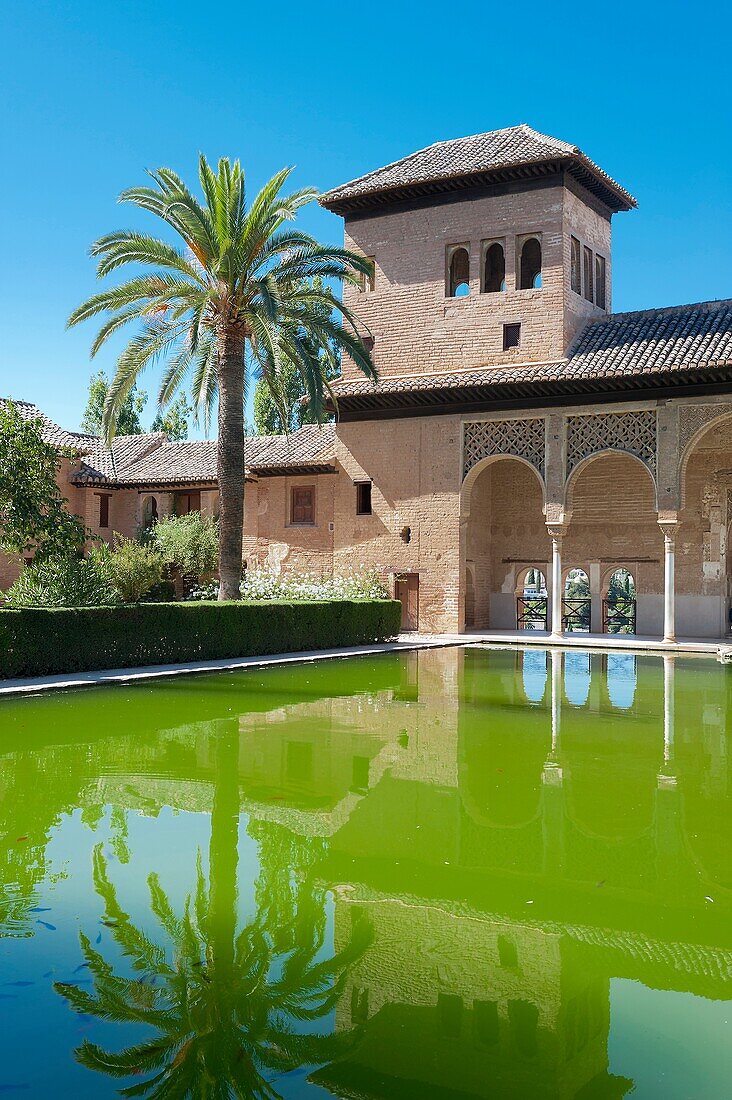 SPAIN - ANDALUSIA - GRENADA - PALACE OF THE ALHAMBRA - POND OF THE GARDENS AND LADIE' S TOWER