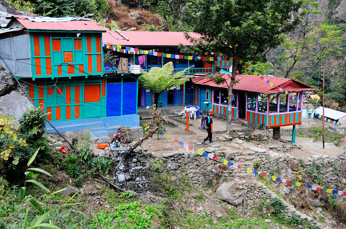 Nepal Annapurna ring hikker walking in front of a colorfull lodge decorated with prayers'flags