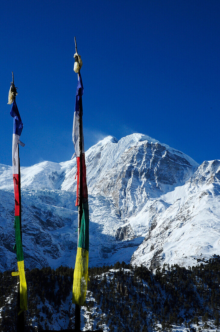 Nepal Annapurna ring prayers'flags in front of the GANGAPURNA PEAK from  the village of MANANG