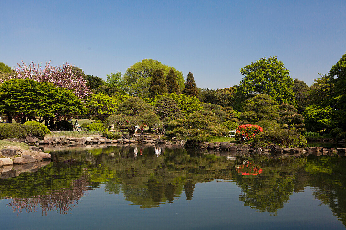 Japan, Tokyo City, Shinjuku District, Shinjuku Gyoen Gardens