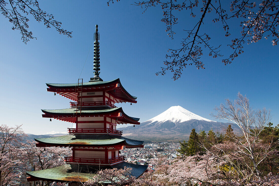 Japan, Cherry Blossoms, Pagoda at Arakura Sengen Shrine and Mount Fuji