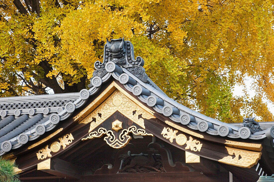 Japan,Kyoto,Nishi-Honganji Temple,Detail of Roof and Autumn Leaves