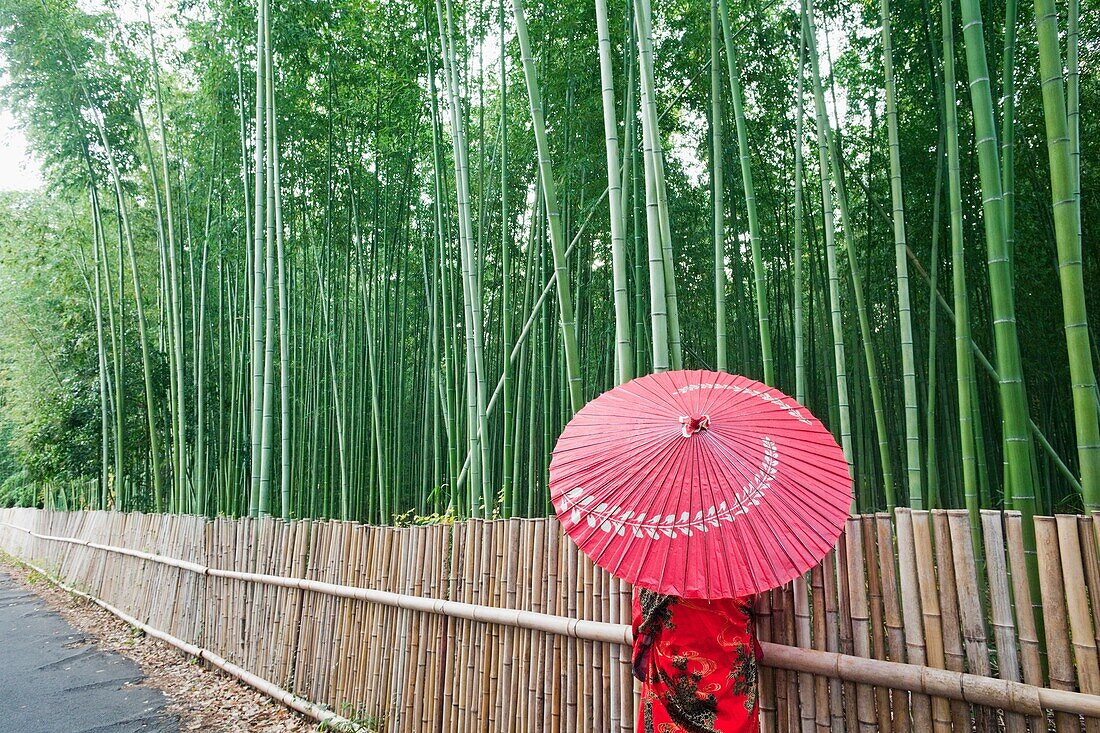 Japan,Kyoto,Arashiyama,The Bamboo Forest