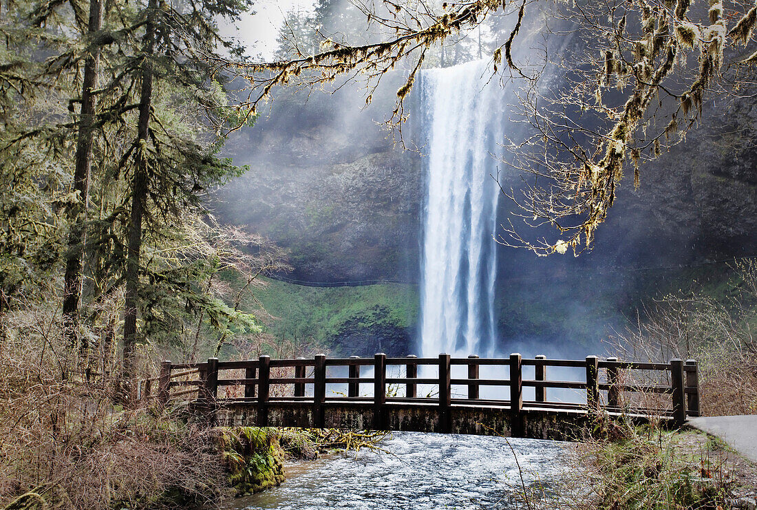 South Falls, cloaked by  mist and splashing water as spring runoff thunders into the splash pool, Silver Falls State Park.  Oregon. Mist, lace, spring, spray, Cascade Mountains