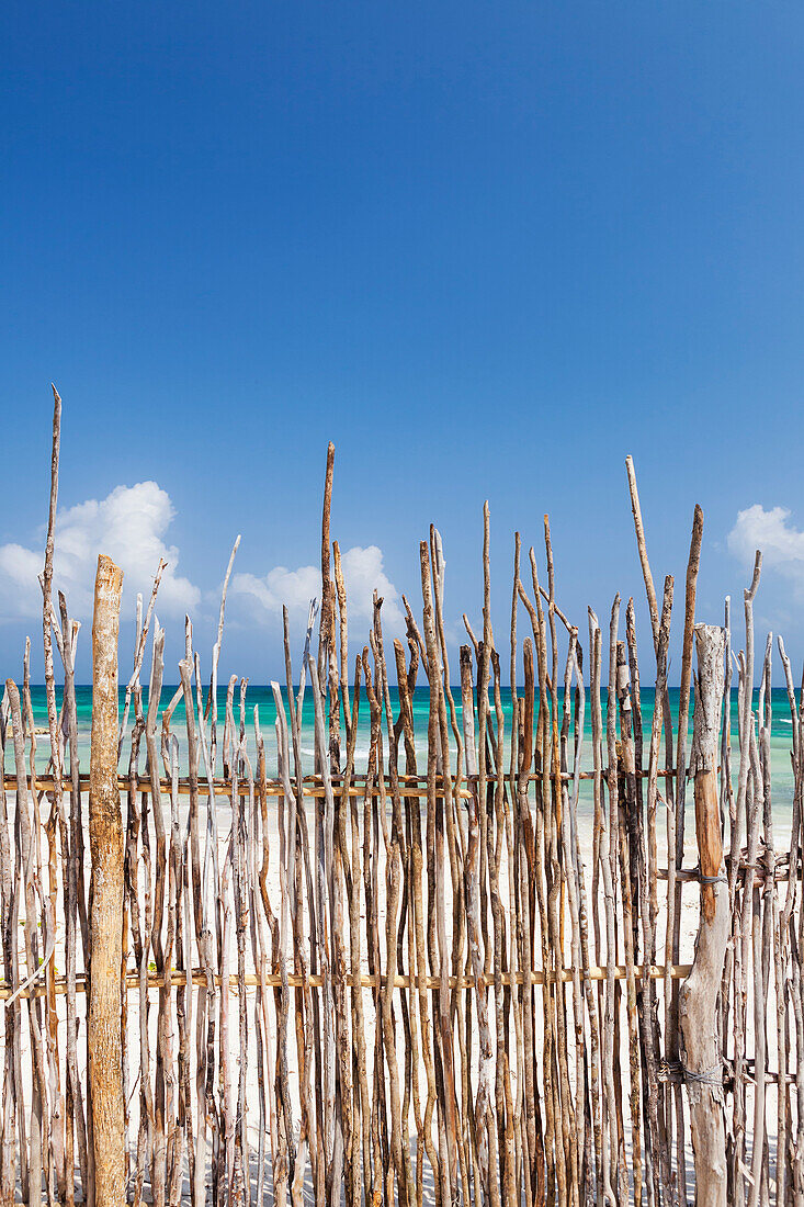 Stick fence along the beach at Tulum.