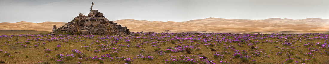 Sand Dunes, Lake Qinghai, Tibet