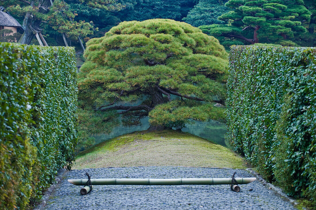 Japan, Kyoto, Katsura Imperial Villa Garden
