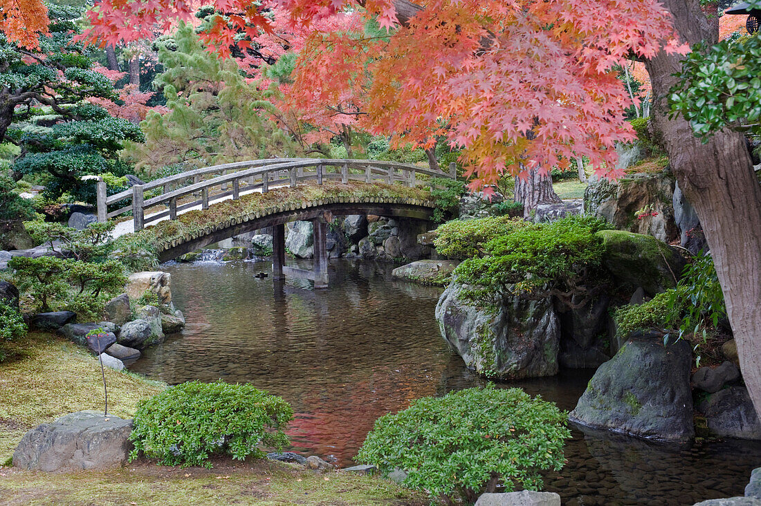 Sento Imperial palace gardens, Lake and wooden bridge. Acer trees in autumn colour.