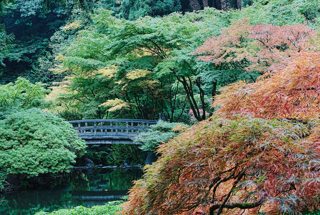 Moon Bridge on Pond.  Japanese Garden, Portland, Oregon, USA