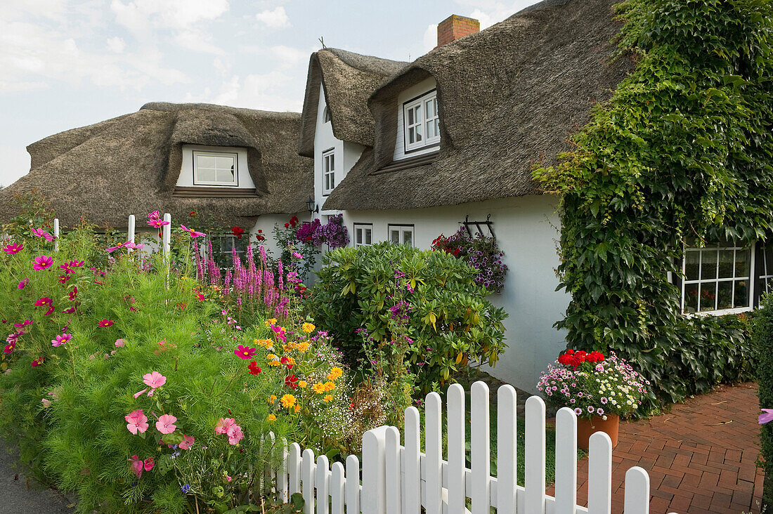 Traditional houses with cottage garden, Nebel, Amrum, North Frisian Islands, Schleswig-Holstein, Germany