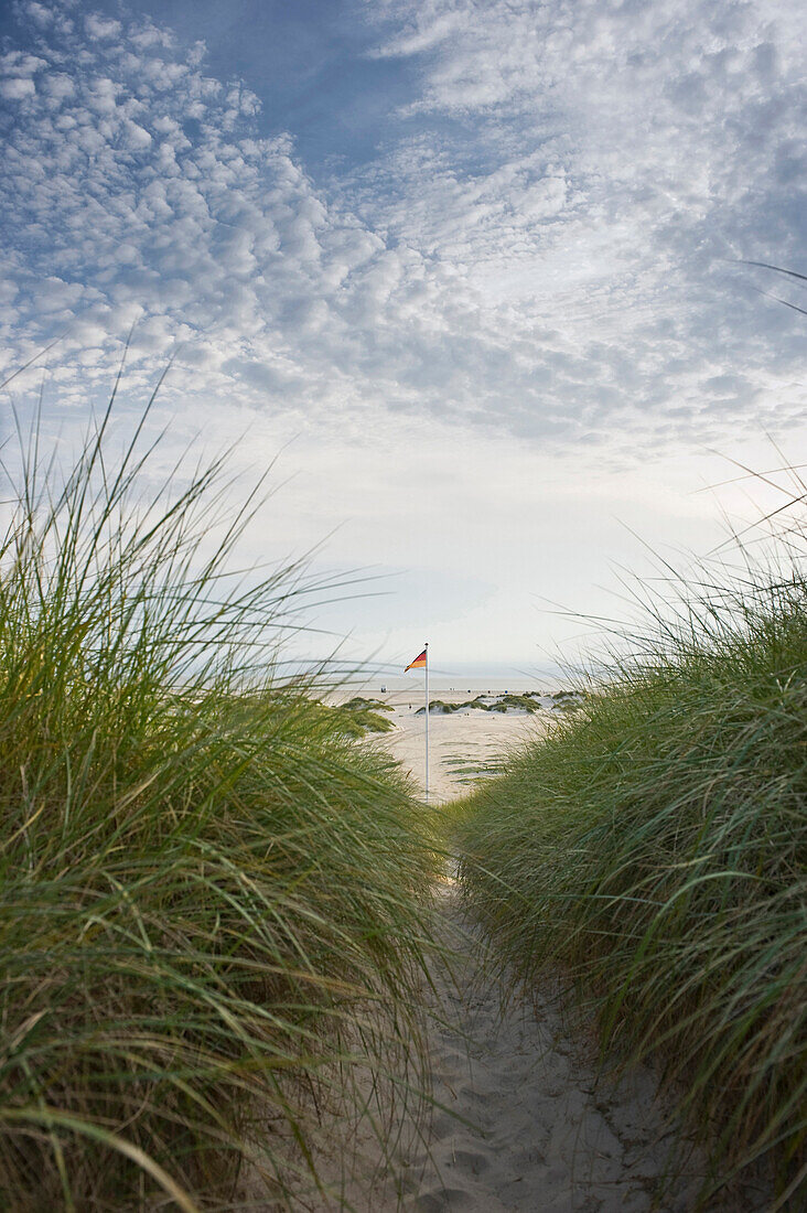 Dünenweg und Deutschlandfahne, Kniepsand, bei Nebel, Amrum, Nordfriesland, Schleswig-Holstein, Deutschland