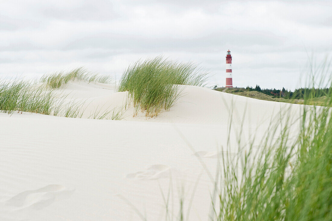 Fußabdrücke im Sand, Leuchtturm und Dünen, bei Nebel, Amrum, Nordfriesland, Schleswig-Holstein, Deutschland