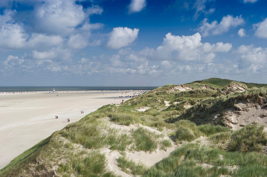 Beach and sand unes near Norddorf, Amrum, North Frisian Islands, Schleswig-Holstein, Germany