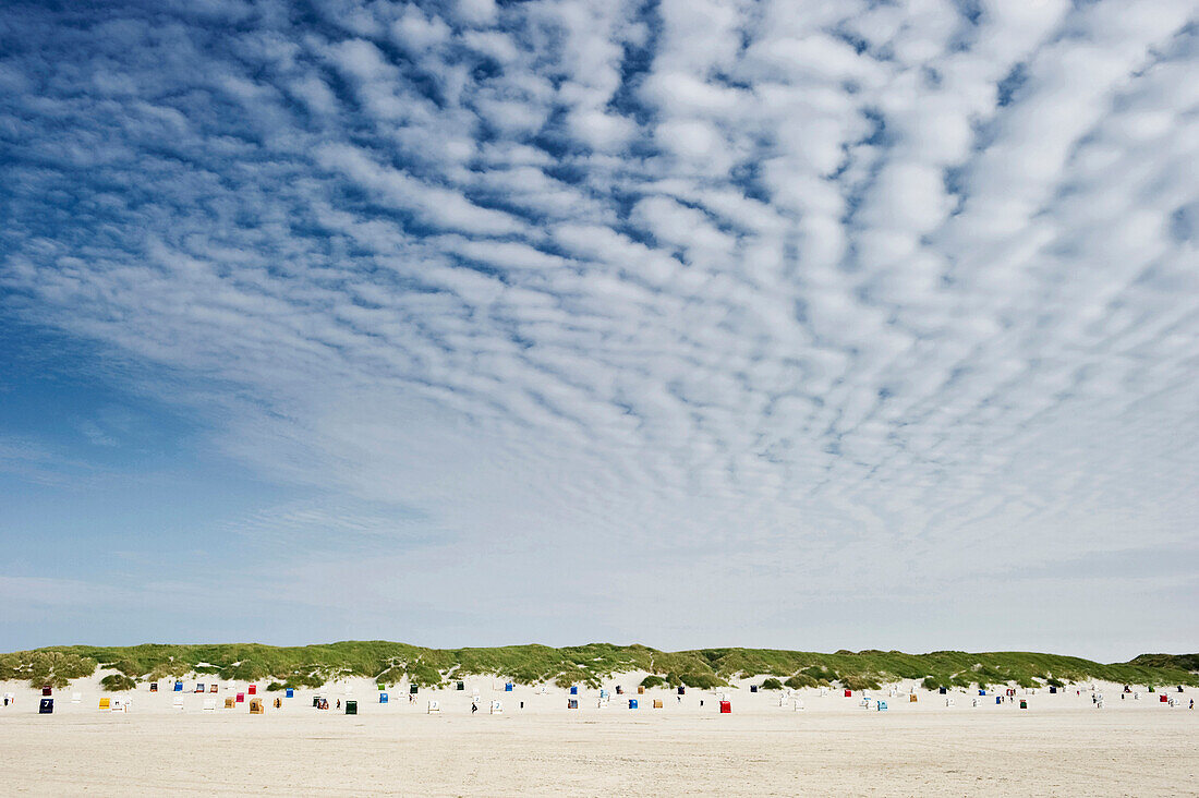 Colorful beach chairs, sandbank near Norddorf, Amrum, North Frisian Islands, Schleswig-Holstein, Germany