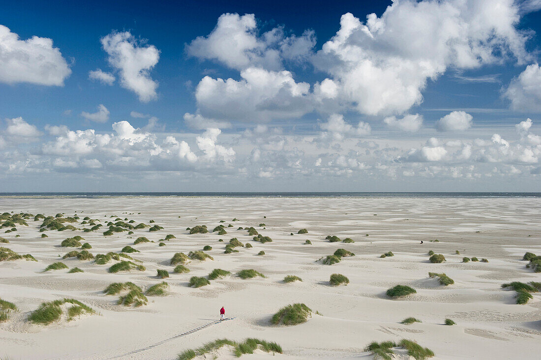 Beach and sandbank near Wittduen, Amrum, North Frisian Islands, Schleswig-Holstein, Germany